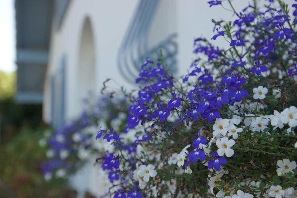 אנגלה Chambre D'Hotes Etchebri מראה חיצוני תמונה